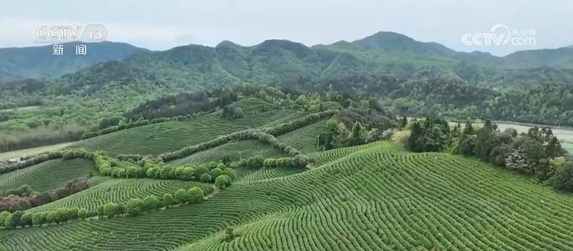 数说“十四五”生态保护成就 生态环境获得感、幸福感、安全感进一步增强
