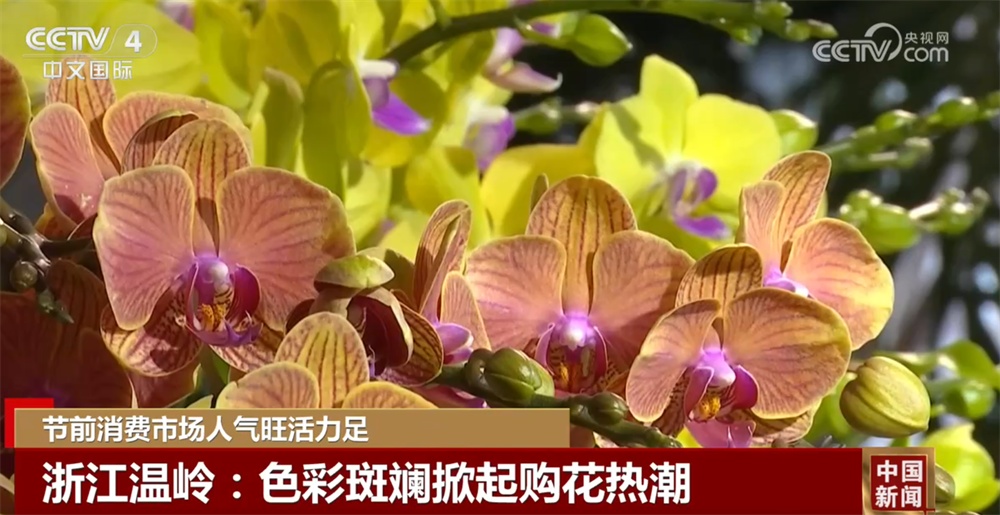 多元业态绘就新图景解锁新花样 节前各地消费市场活力足、人气旺