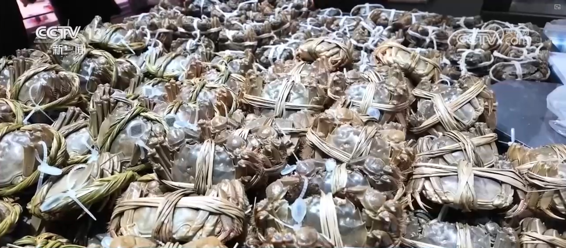 3.814亿吨、5567.1亿元，成绩“亮眼”！数说我国冷链物流行业稳步增长