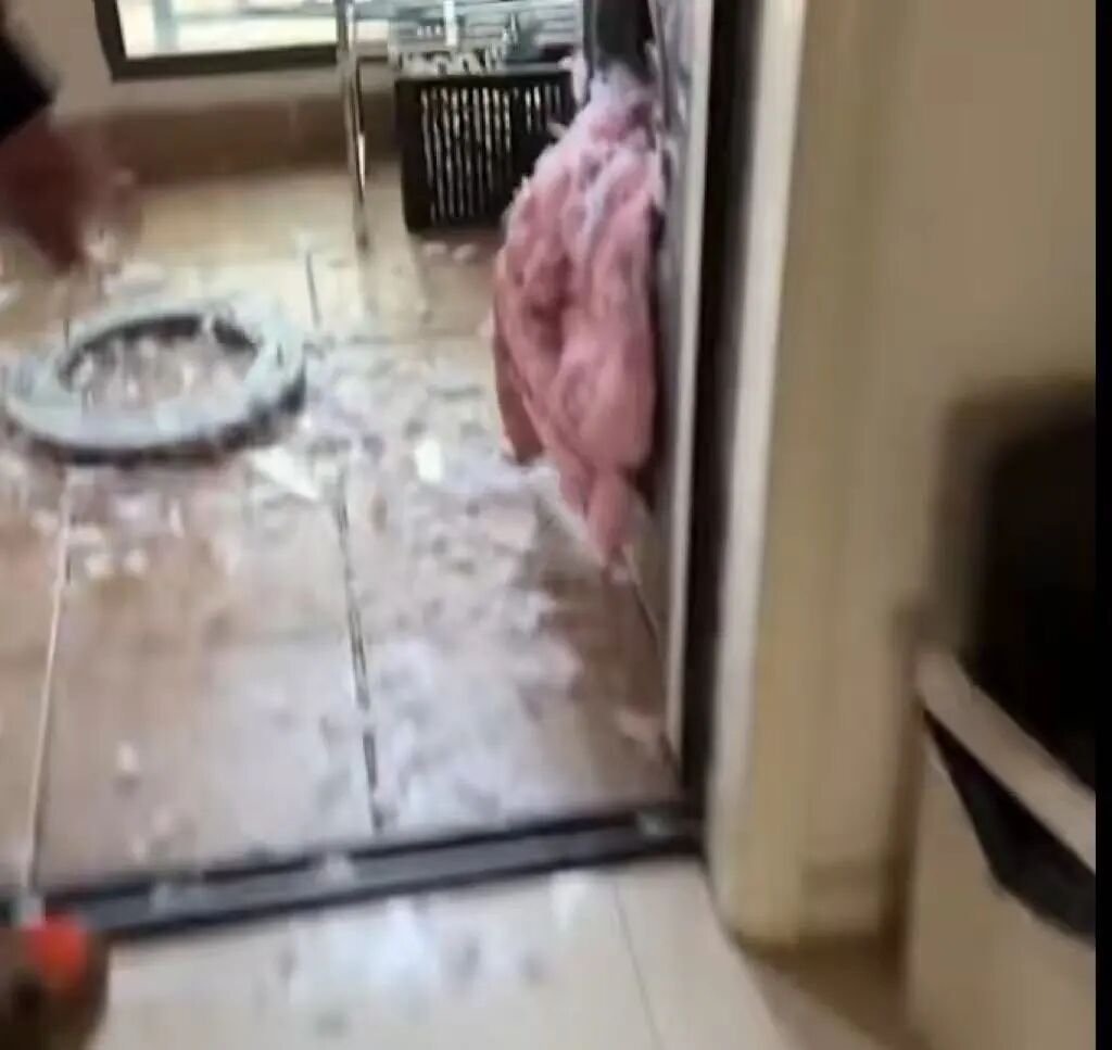 “爆款”羽绒服炸伤女子、炸坏洗衣机！别再这样做了