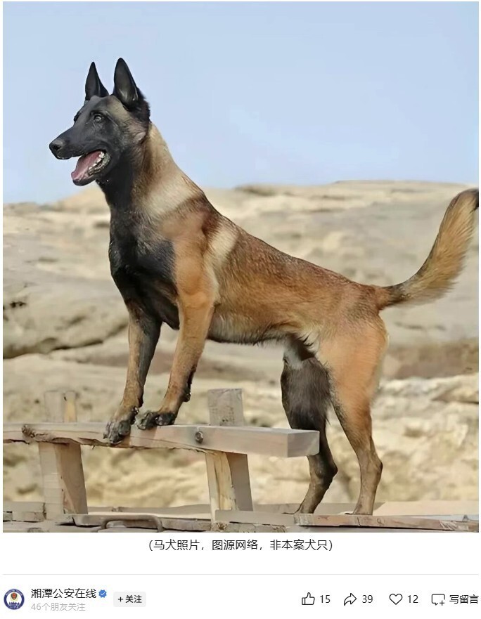 湘潭男子遛狗不栓绳咬伤他人被拘留7天！“狗伤人”如何界定？律师解读