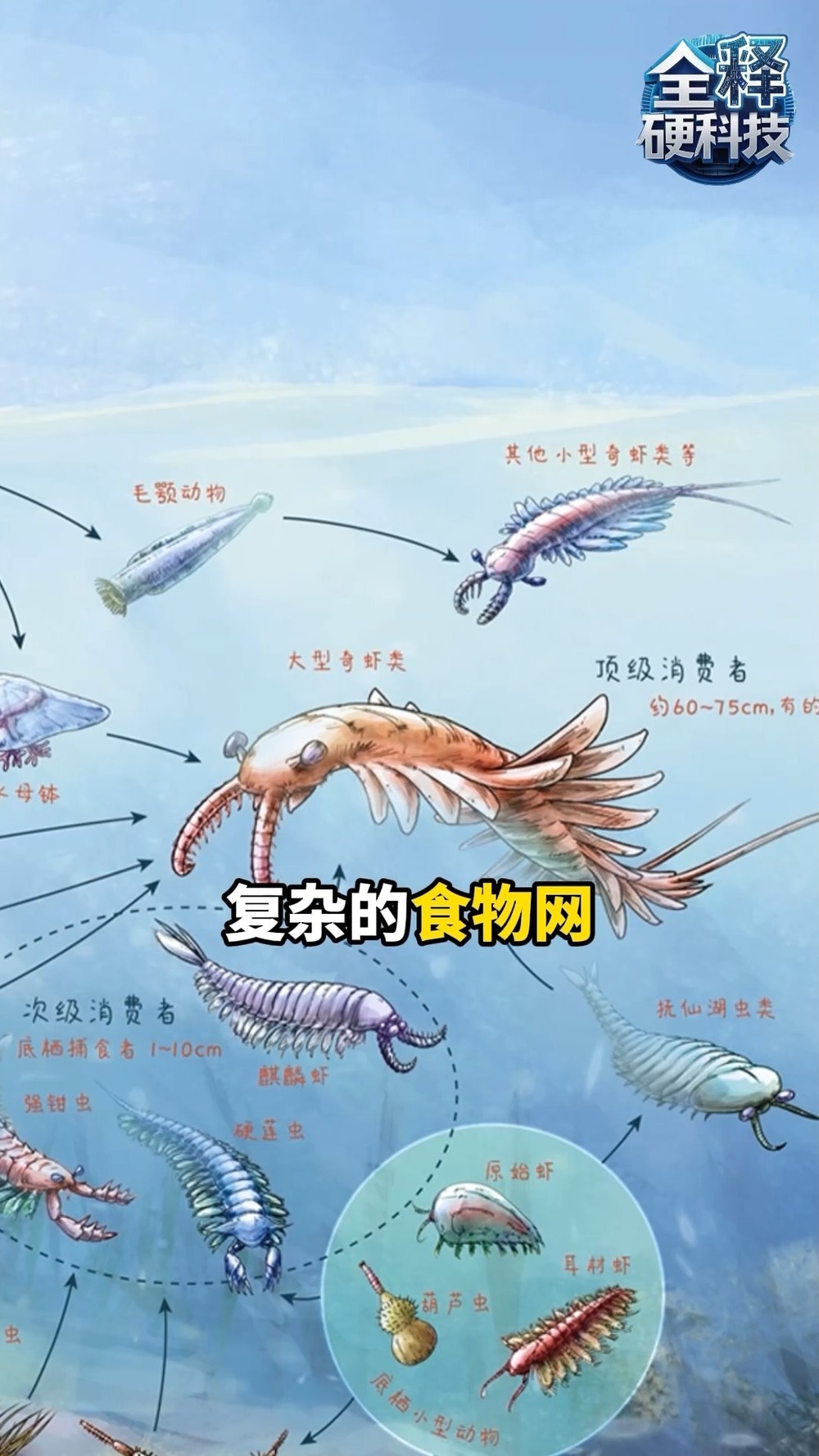 大灭绝后生命如何重启 花垣生物群填补历史空白 大灭绝后生命如何重启 花垣生物群填补历史空白