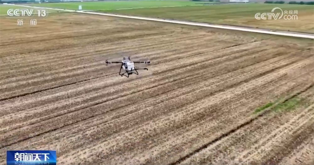 各地抓紧田间支招、精准管护全力“追苗情” 精准施策护航夏粮丰收