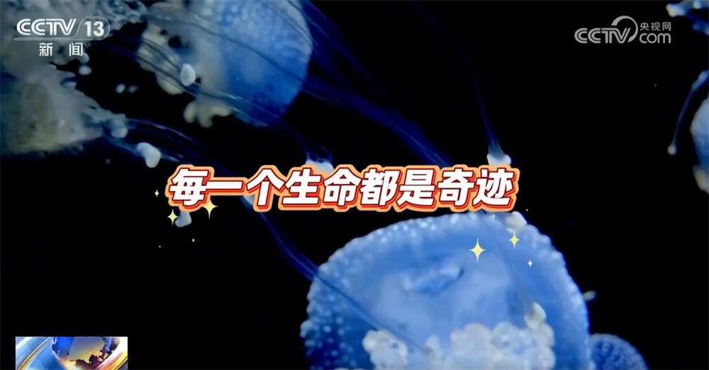 一起“涨”知识！世界级化石“宝藏”花垣生物群解锁5亿年前生命重启密码