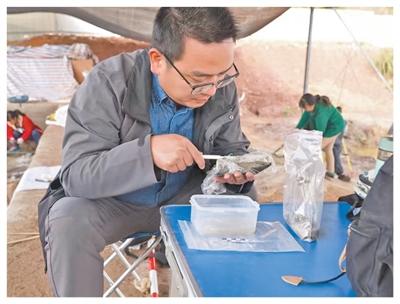 揭秘“百科全书”式遗址