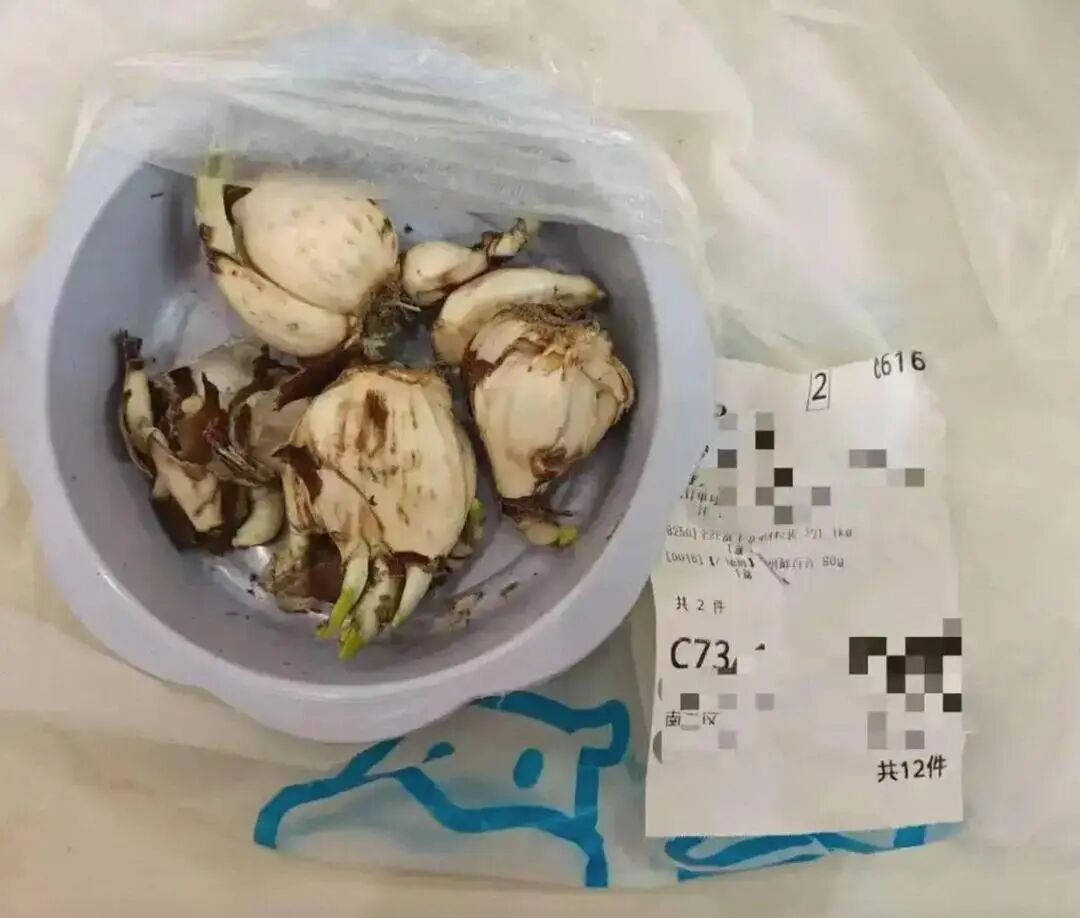 错发水仙致两人中毒！盒马致歉