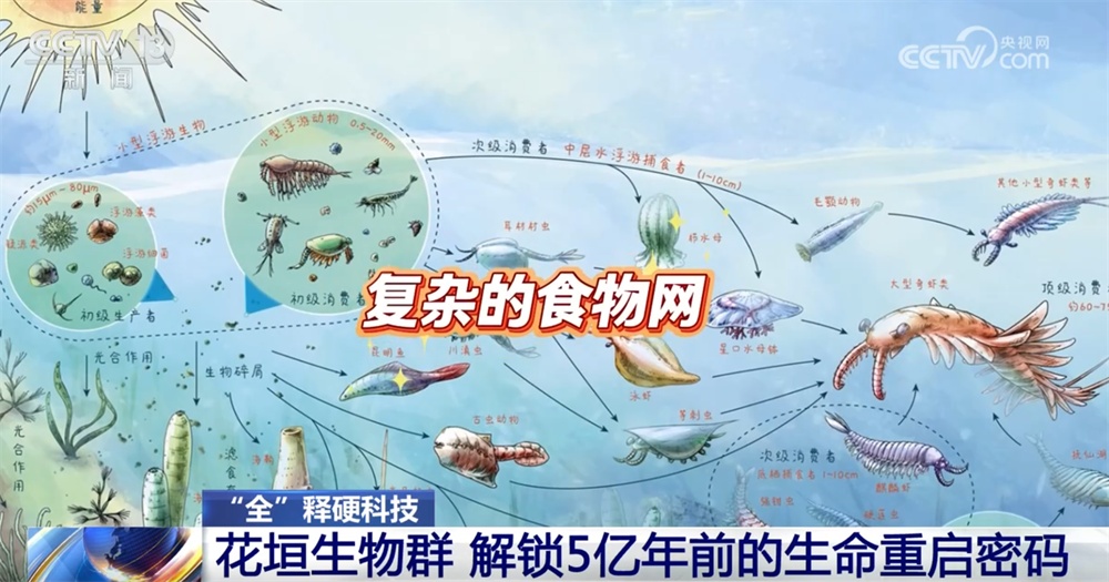 一起“涨”知识！世界级化石“宝藏”花垣生物群解锁5亿年前生命重启密码