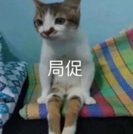 “万一穿呢？万一用呢？万一学呢？”爸妈：“就差没把宿舍背回来了……”