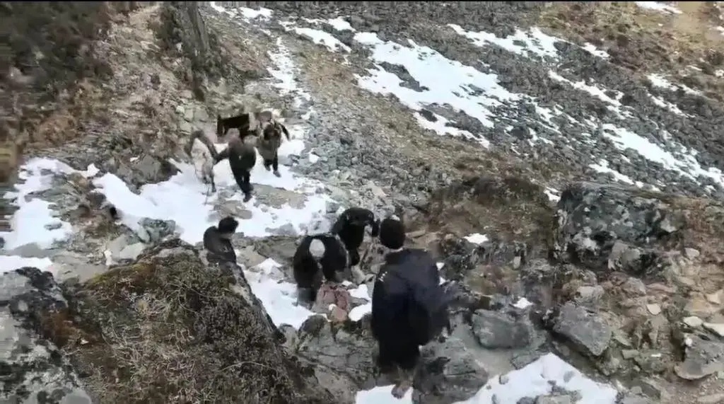 男子擅闯未开发区域失联！90余人搜救3天2夜获救，罚3000元，承担救援费2.72万元！