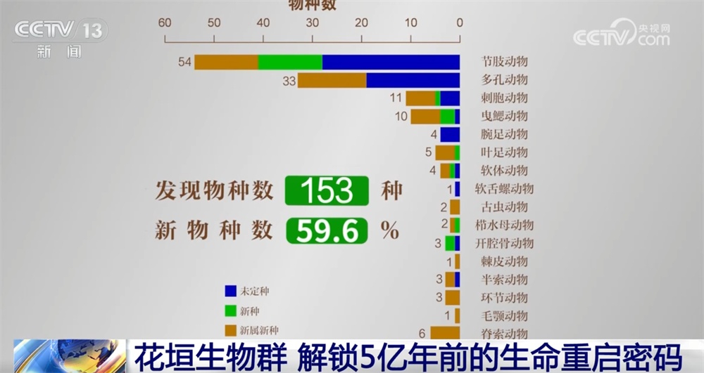 一起“涨”知识！世界级化石“宝藏”花垣生物群解锁5亿年前生命重启密码