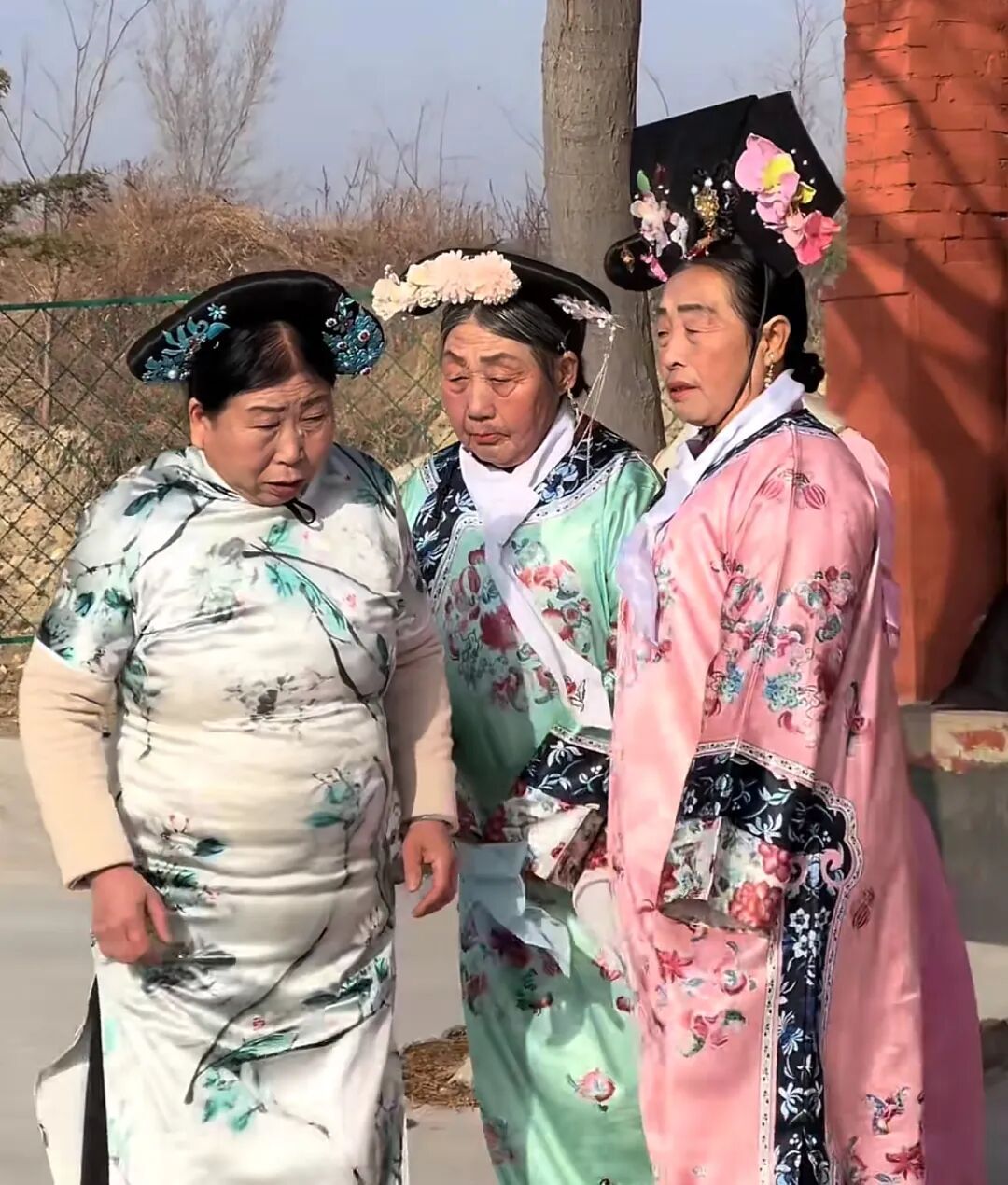 山东大姨拍土味《甄嬛传》圈粉百万，多位明星点赞