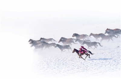 致敬!贺娇龙事迹写入新疆政府工作报告 致敬!贺娇龙事迹写入新疆政府工作报告