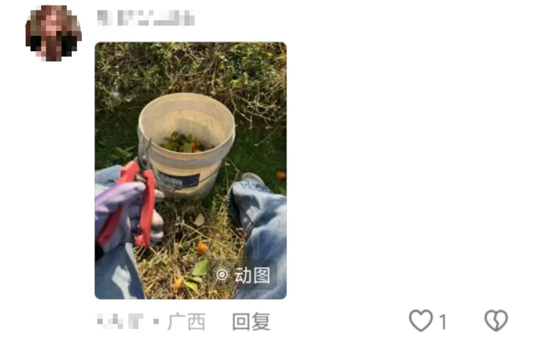 “万一穿呢？万一用呢？万一学呢？”爸妈：“就差没把宿舍背回来了……”