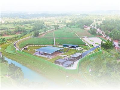 揭秘“百科全书”式遗址