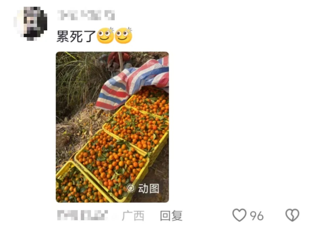 “万一穿呢？万一用呢？万一学呢？”爸妈：“就差没把宿舍背回来了……”