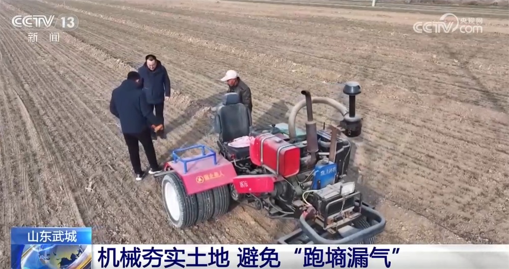 各地抓紧田间支招、精准管护全力“追苗情” 精准施策护航夏粮丰收