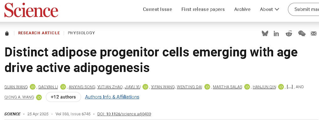 35岁后喝水都长肉？原因找到了！一天中这2个“发胖时刻”千万管住嘴