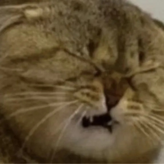 “万一穿呢？万一用呢？万一学呢？”爸妈：“就差没把宿舍背回来了……”