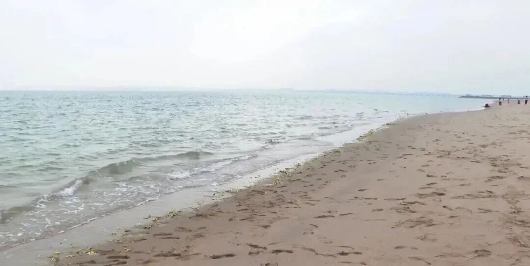 危急！厦门一女子落水，20年冬泳爱好者果断救人