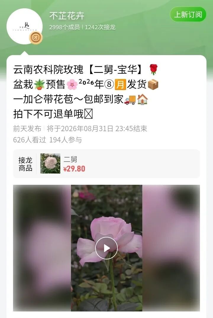 以二舅命名的“宝华月季”开始预售，热情网友首日抢购200多单
