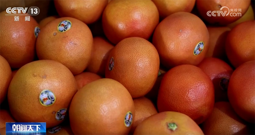 节前消费市场购销旺、“鲜”味浓 百姓“菜篮子”丰盈、“果盘子”新鲜有保障