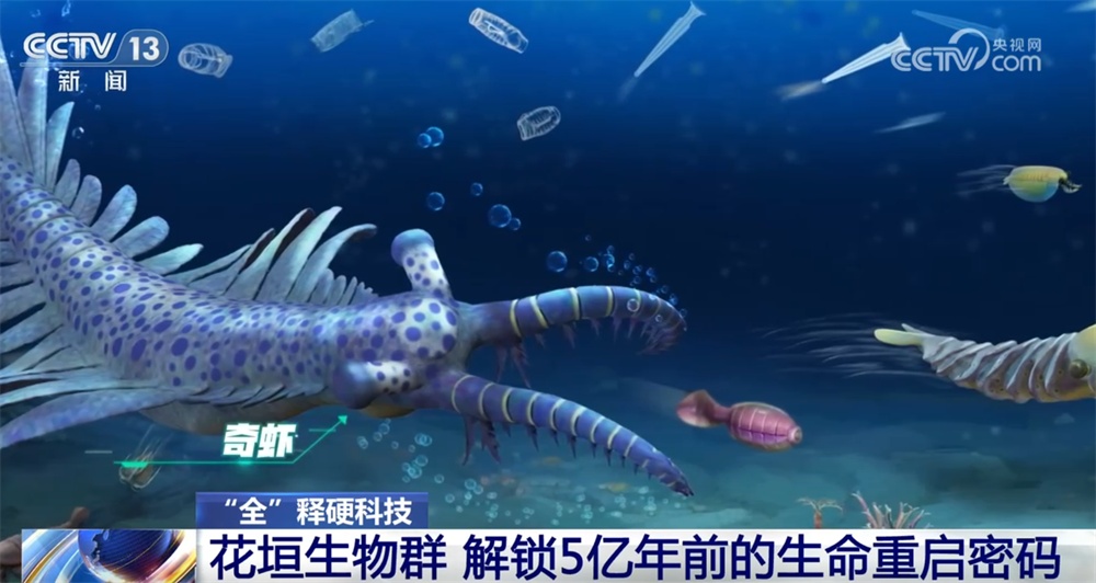 一起“涨”知识！世界级化石“宝藏”花垣生物群解锁5亿年前生命重启密码