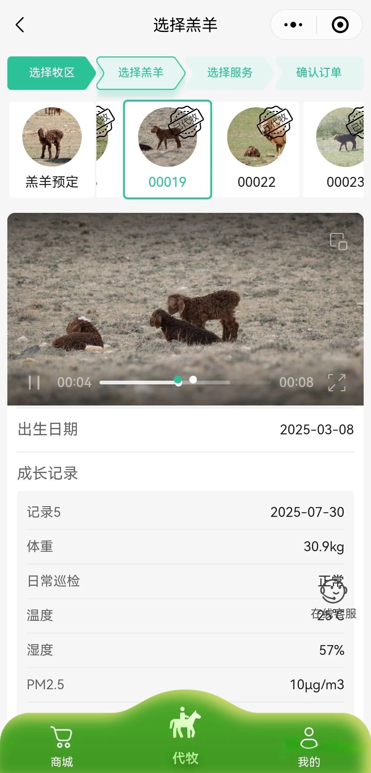 不仅有美景!阿勒泰的肥羊也有好“钱”景 不仅有美景!阿勒泰的肥羊也有好“钱”景