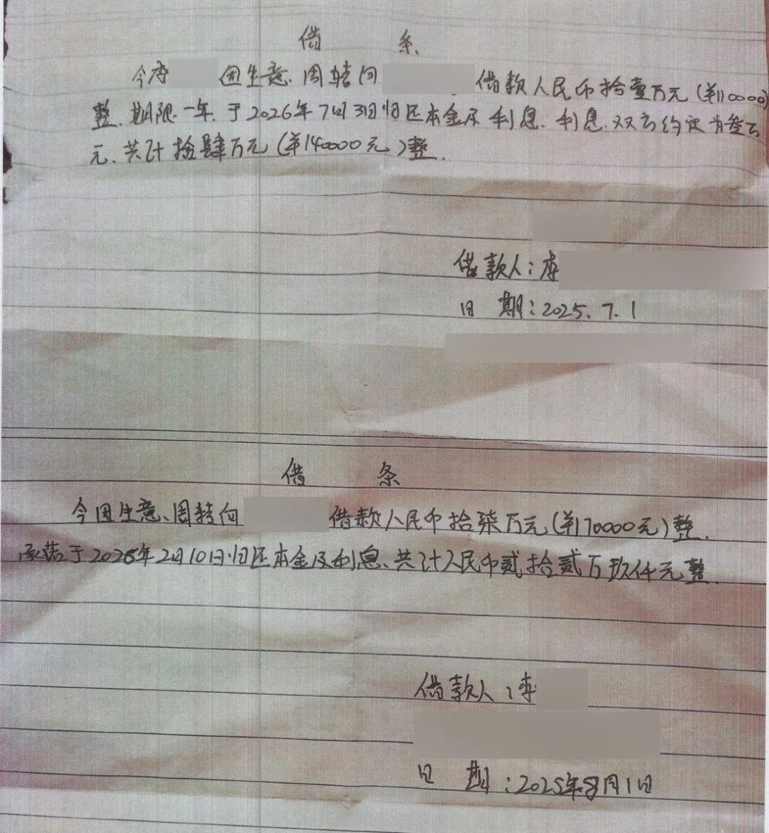 伺候半年、借款20万，还买宝马供使用……上海女保姆被雇主骗惨了