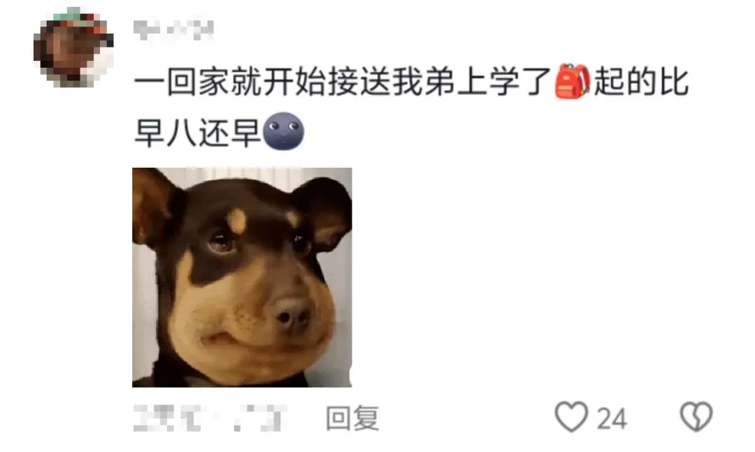 “万一穿呢？万一用呢？万一学呢？”爸妈：“就差没把宿舍背回来了……”