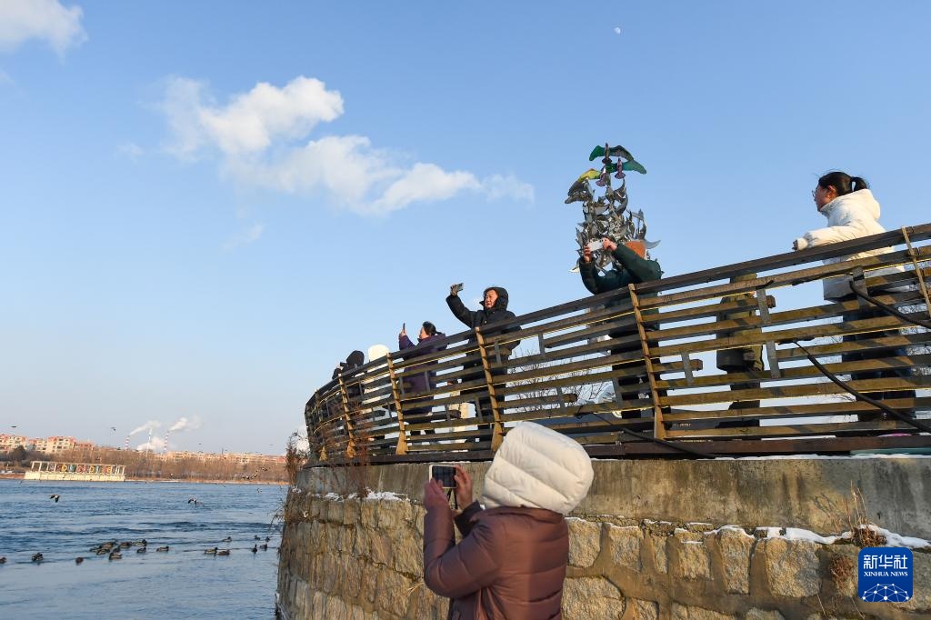 吉林长白岛:两代护鸟人接力 守护万鸟翔集 吉林长白岛:两代护鸟人接力 守护万鸟翔集