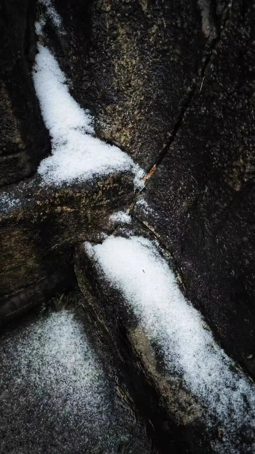 江苏下雪了!南京地铁:将视情调整部分线路的运输方案 江苏下雪了!南京地铁:将视情调整部分线路的运输方案