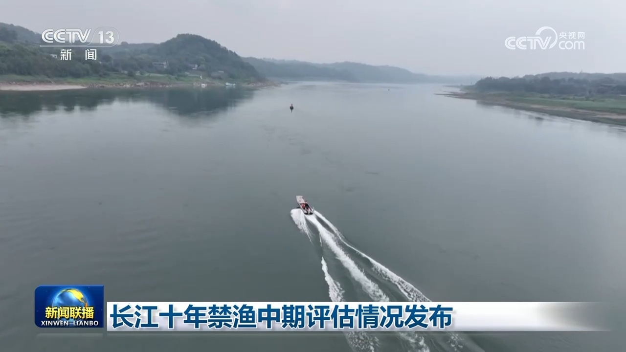 长江十年禁渔中期评估情况发布 长江十年禁渔中期评估情况发布