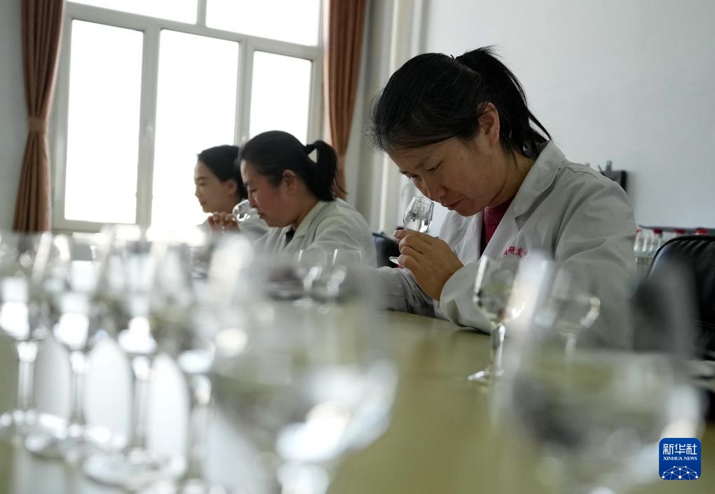 河北承德：古法酿造续醇香