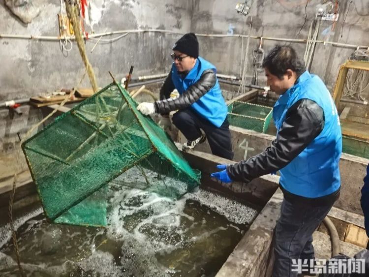 神奇！青岛渔民出海捕到一条怪鱼，身价昂贵！