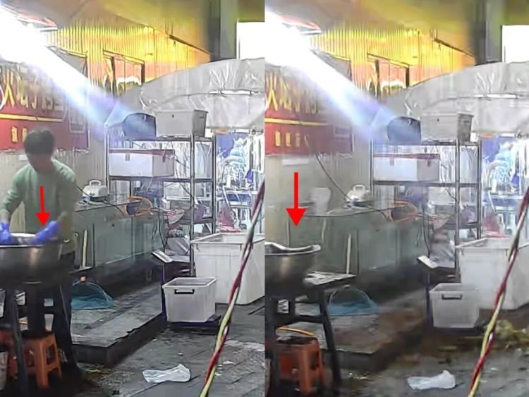 男子被一只流浪猫救了！完美躲过高空坠落花盆