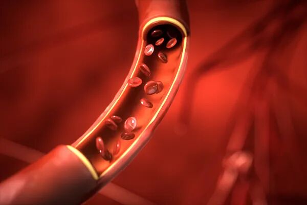 葱竟能当"创可贴"？好处太多了！全身上下都是宝