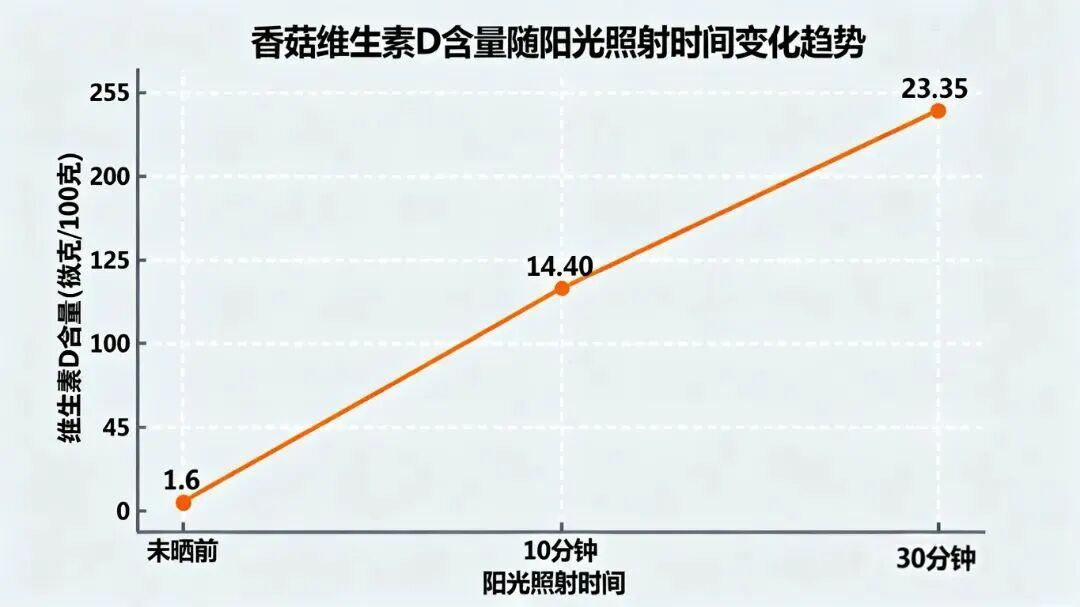 4种冬季蔬菜被低估，比牛奶高钙、比橘子高维C，别错过→