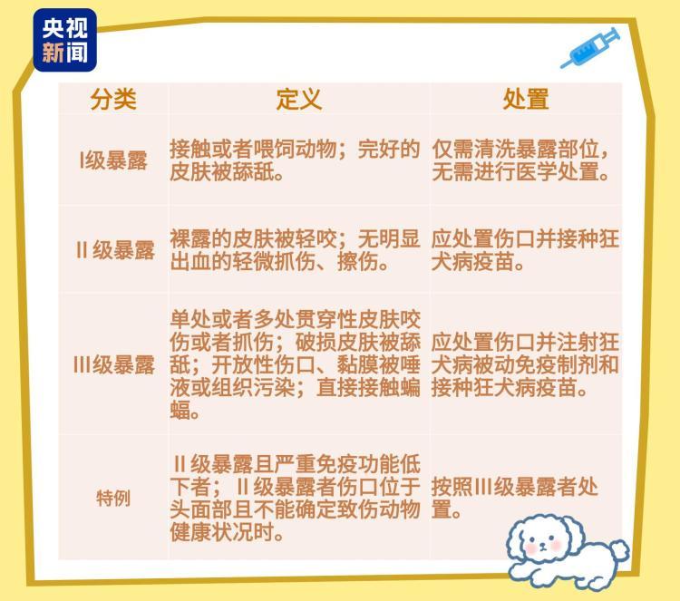 小伤口≠低风险 被这些动物抓、咬后千万别大意 小伤口≠低风险 被这些动物抓、咬后千万别大意