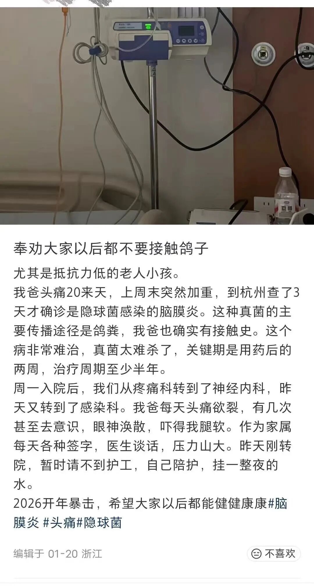 老人接触鸽子后确诊脑膜炎,医生说病菌藏在鸽粪中!鸽子是会飞的老鼠吗? 老人接触鸽子后确诊脑膜炎,医生说病菌藏在鸽粪中!鸽子是会飞的老鼠吗?