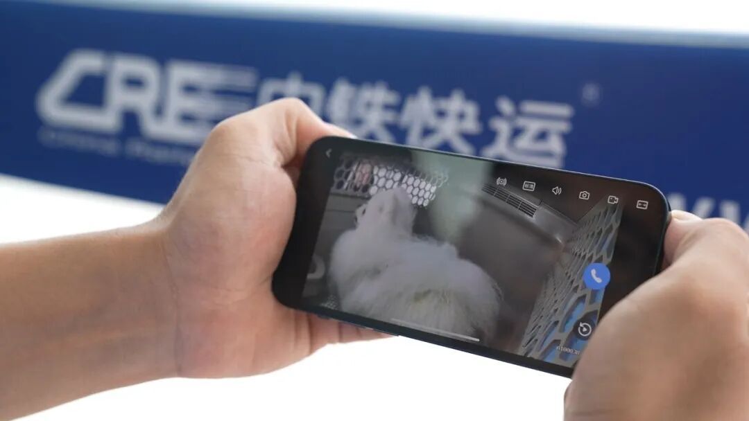 收藏！110个宠物托运车站全名单