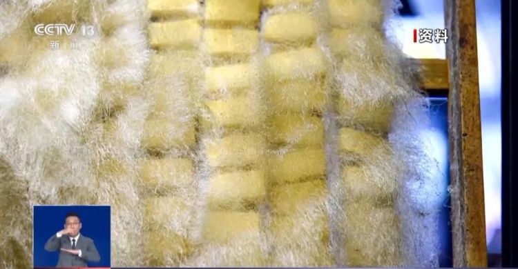 “自制霉豆腐”火了，能放心吃吗？