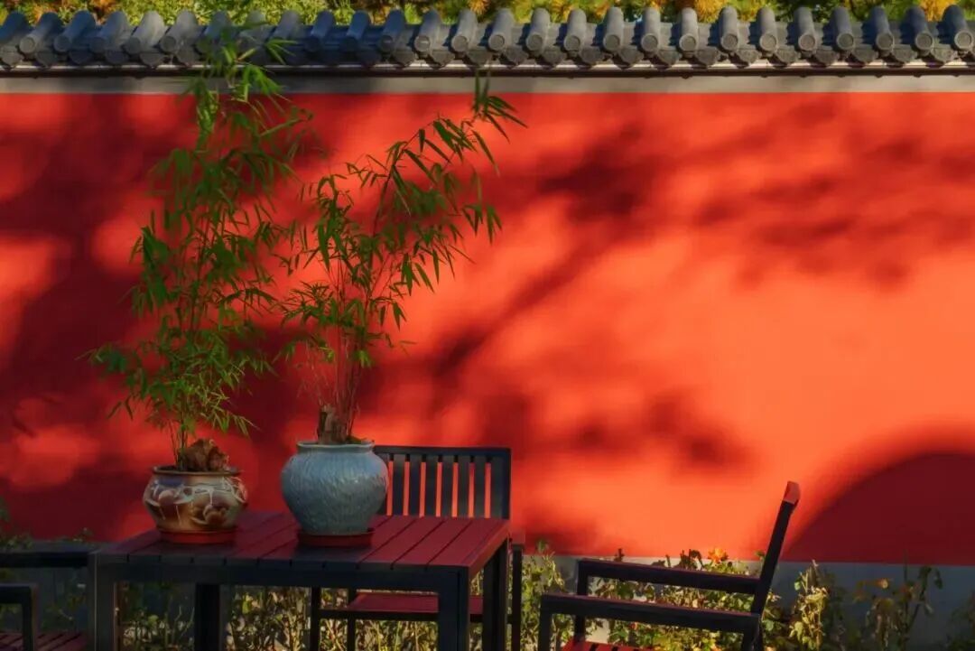 在新华书店寻找地道“北京味儿”