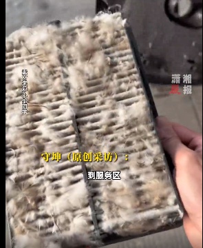 高速瞬间爆出大量羽毛！后车视线被完全遮挡……车主：薅了半个多小时毛