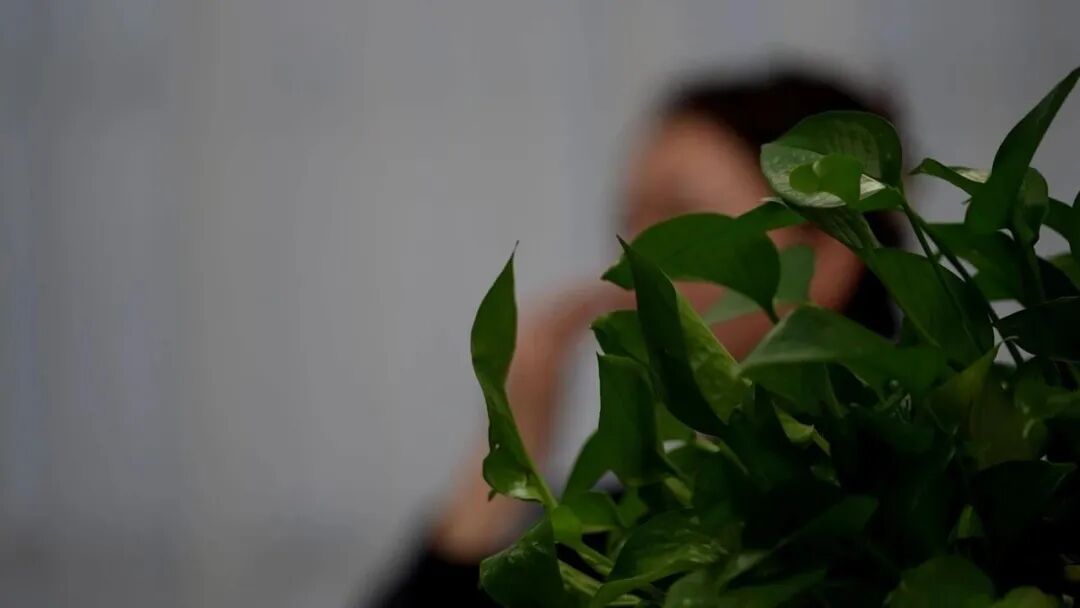 与100多名女性保持暧昧关系，假飞行员徐某落网