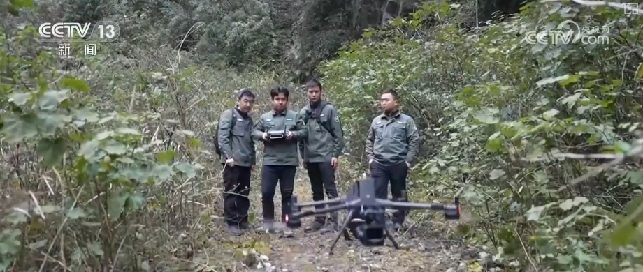 既当生态“修补匠”又当经济“惠民树” 科技赋能让生态护林“如虎添翼”