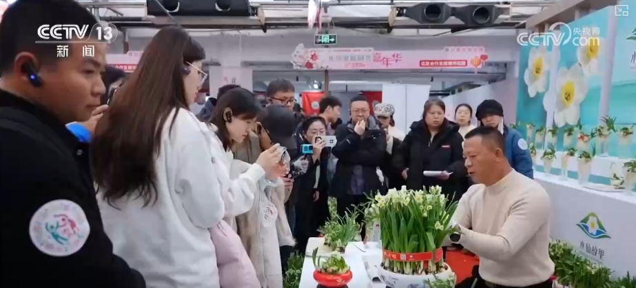 打开赏花地图看繁花美景聚人气、多元场景带旺消费 打开赏花地图看繁花美景聚人气、多元场景带旺消费