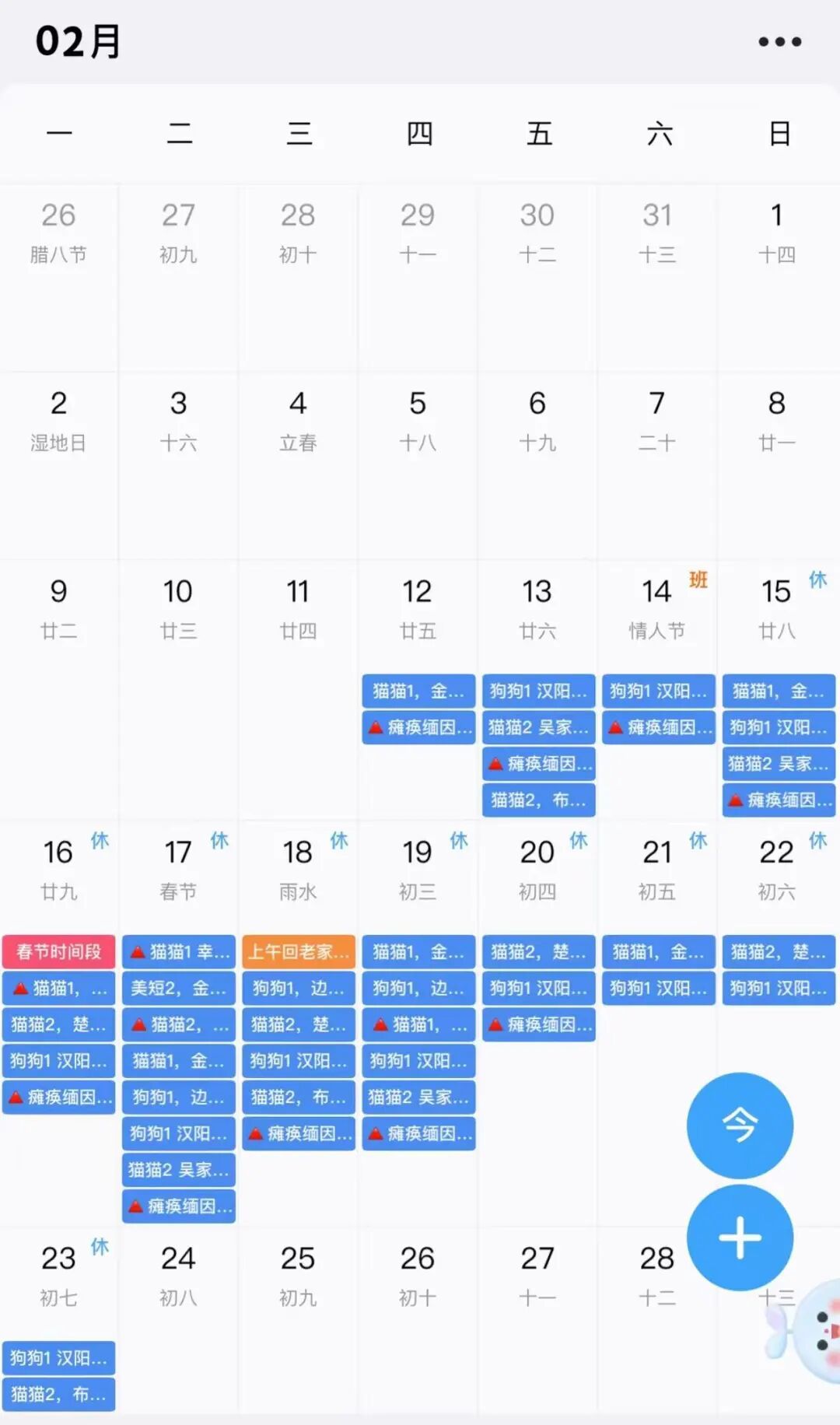 “毛孩子”也要过春节！宠物春节上门喂养爆单，专属年夜饭一份上百元
