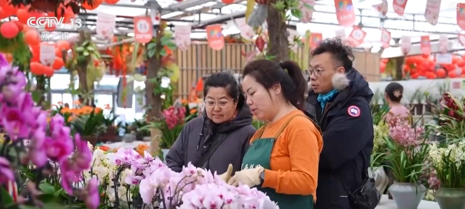 打开赏花地图看繁花美景聚人气、多元场景带旺消费 打开赏花地图看繁花美景聚人气、多元场景带旺消费
