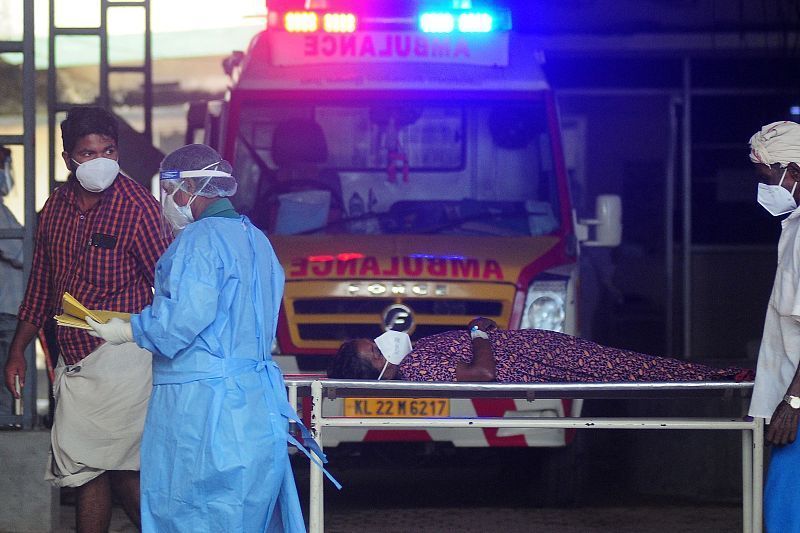 “致命尼帕”会全球流行吗？该如何防护？