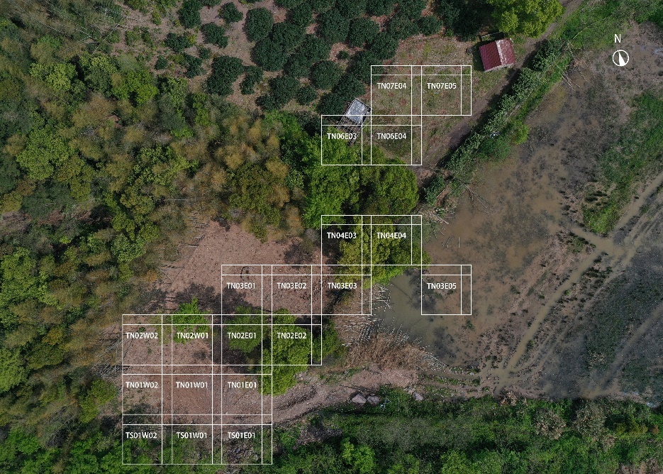 2025年度浙江考古重大发现揭晓